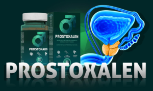 Prostoxalen - où acheter - en pharmacie - sur Amazon - site du fabricant - prix